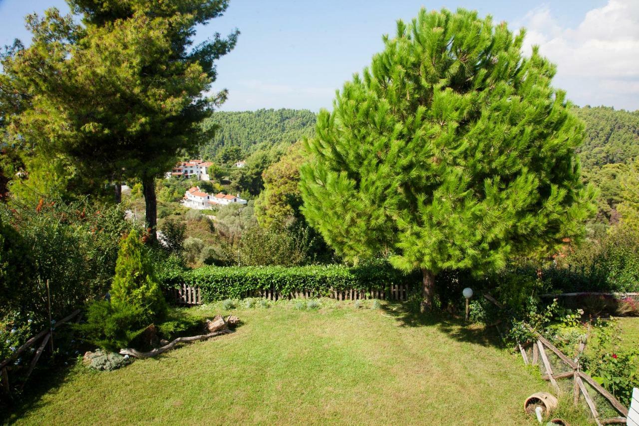 Elani Beautiful Villa シビリ エクステリア 写真