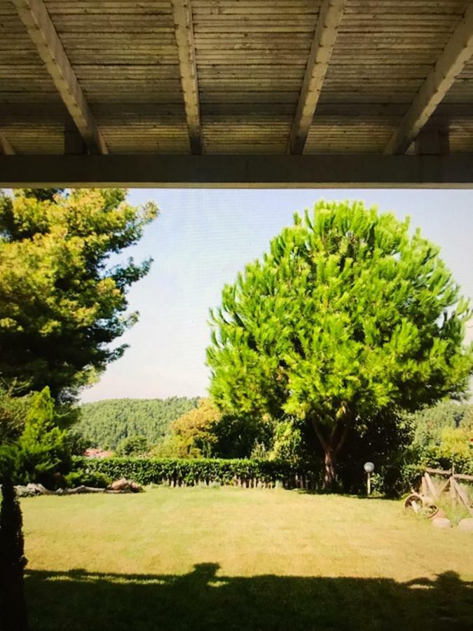 Elani Beautiful Villa シビリ エクステリア 写真